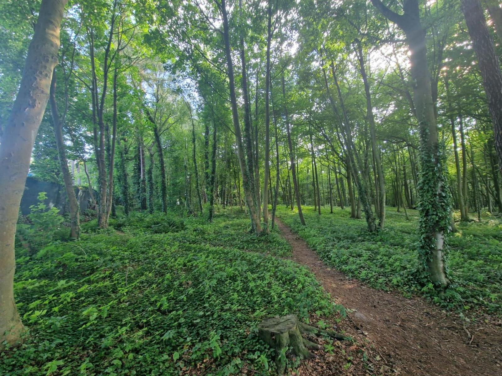 Osrodek Promenada- Domki Jastrzębia Góra Esterno foto