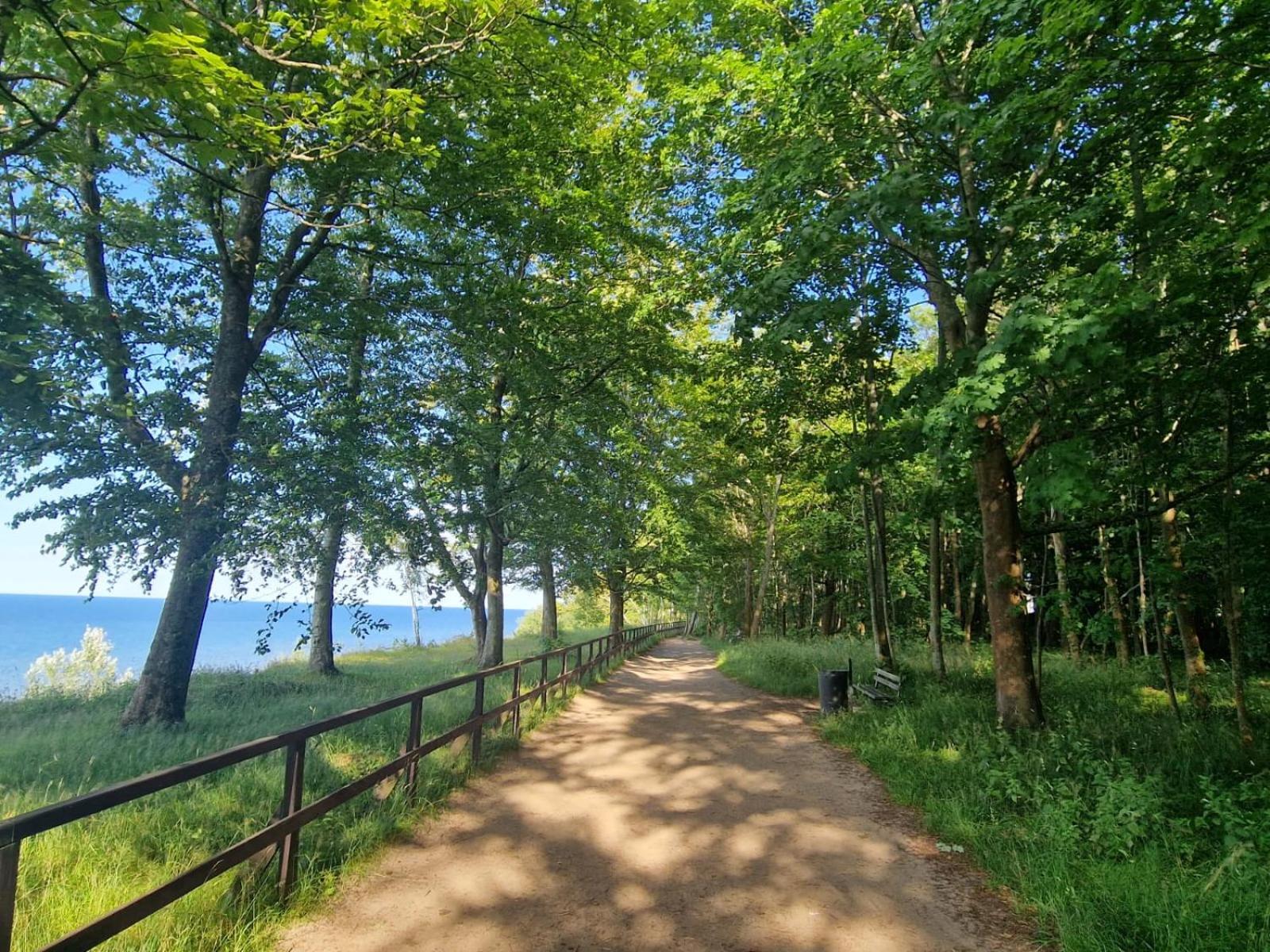 Osrodek Promenada- Domki Jastrzębia Góra Esterno foto